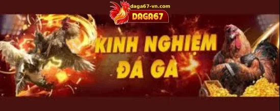 TIN TỨC DAGA67